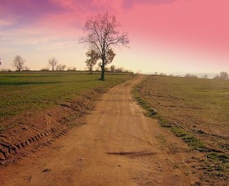 Kadastral Yol Sınırlarının Belirlenmesi.